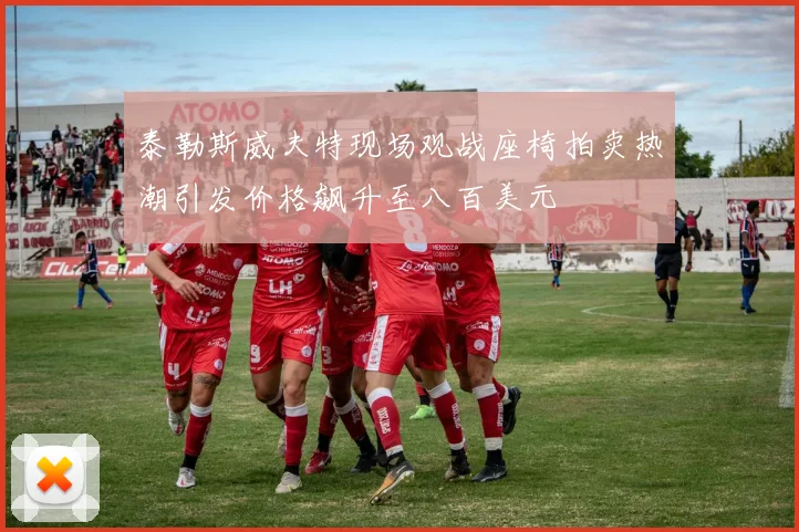 泰勒斯威夫特现场观战座椅拍卖热潮引发价格飙升至八百美元