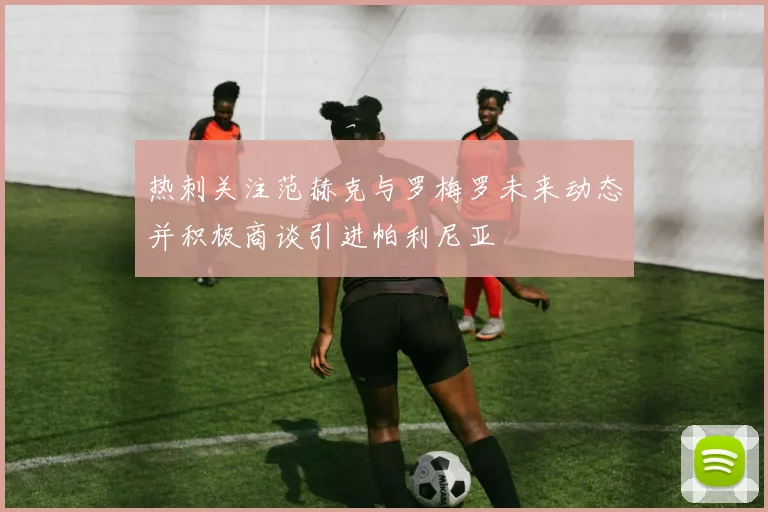 热刺关注范赫克与罗梅罗未来动态并积极商谈引进帕利尼亚